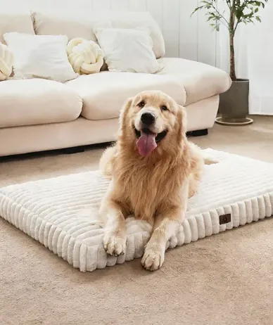 Calming bed